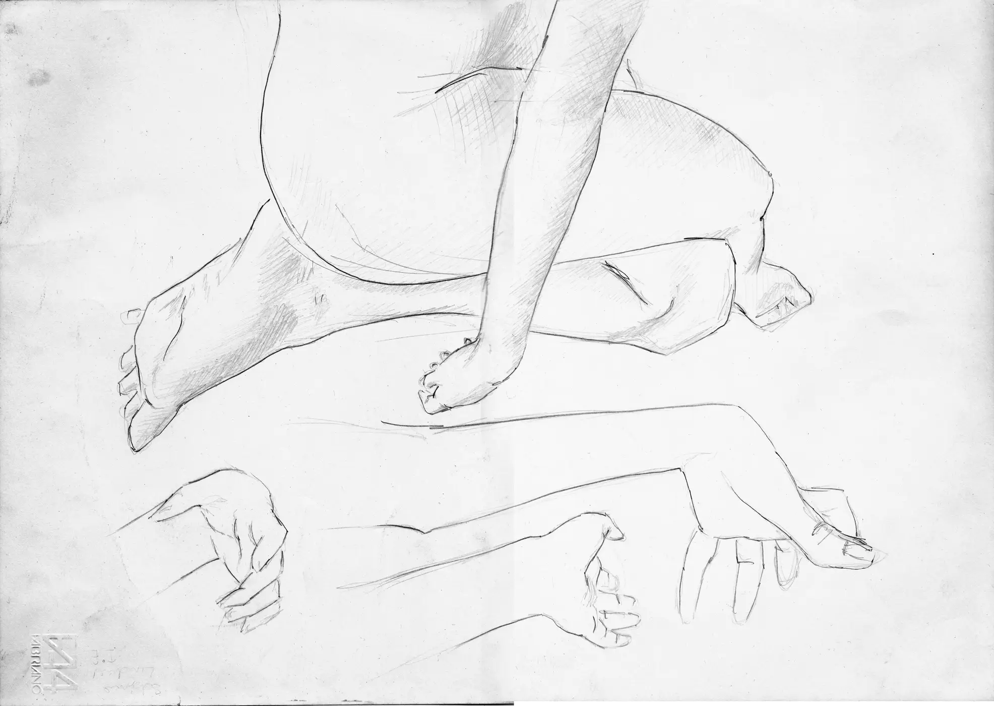 disegni_0033 b-n.webp